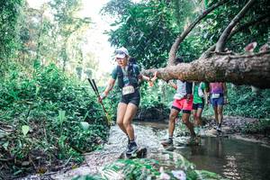 BIB: 
                            <button type="button" onclick="openModal(25432915)" class="btn btn-primary btn-sm float-right btn-popup" data-toggle="modal" data-target=".modal-high-quality">
                        <i class="fas fa-shopping-cart"></i> Add to Cart
                    </button>
                                            <button type="button" onclick="isThisMe(25432915, true)" class="btn btn-success btn-sm float-right btn-popup btn-isme hidden" data-toggle="tooltip" data-placement="bottom" title="นี่คือรูปของคุณใช่ไหม คลิกที่นี่เพื่อเอาเข้าอัลบั้ม">
                        <i class="fas fa-plus"></i> Add to album
                    </button>
                    <button type="button" onclick="isThisMe(25432915, false)" class="btn btn-warning btn-sm float-right btn-popup btn-isnotme hidden">
                        <i class="fas fa-ban"></i> Remove from album
                    </button>